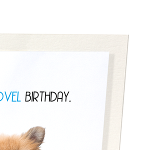 Novel birthday (Pack of 2 prints)