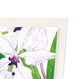 Orchid (Pack of 2 art prints)