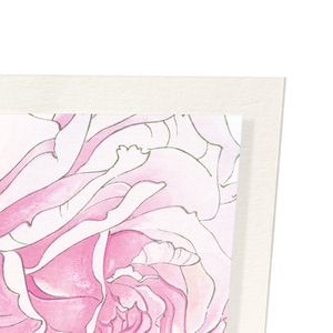 Pink rose (Pack of 2 art prints)