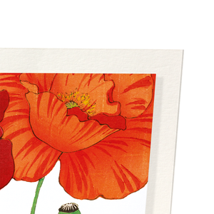 Three poppies (Pack of 2 art prints)