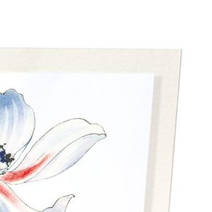 Blue and red anemone (Pack of 2 art prints)