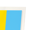 Pansexual pride flag (Pack of 2 prints)