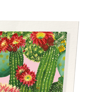 Colouful cacti : 2 prints