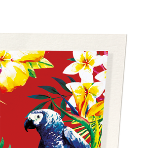 Parrot messenger : 2 prints