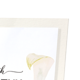 Calla lily of sympathy : 2 prints