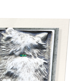 Enchanting cat : 2 prints