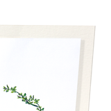 Spend thyme with you : 2 prints