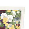 Pansies : 2 prints