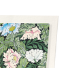 Poppies and acanthus flowers : 2 prints