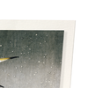 Herons in the winter (Pack of 2 prints)