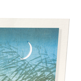 Egrets and crescent moon (Pack of 2 prints)