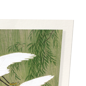 Egrets and willow (Pack of 2 prints)