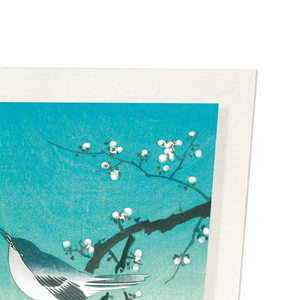 Bush warbler and plum blossoms (Pack of 2 prints)