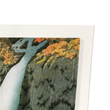 Nikko waterfall (Pack of 2 prints)