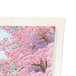 Castle and cherry blossoms (Pack of 2 prints)