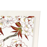 Cherry blossom flowers (Pack of 2 prints)