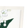 Lily of the valley (Pack of 2 prints)