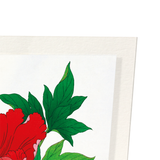 Red peony (Pack of 2 prints)