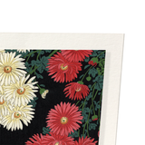 Chrysanthemum (Pack of 2 prints)