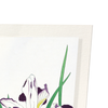 Irises (Pack of 2 prints)