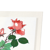 Roses (Pack of 2 prints)