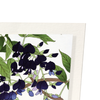 Purple wisteria (Pack of 2 prints)