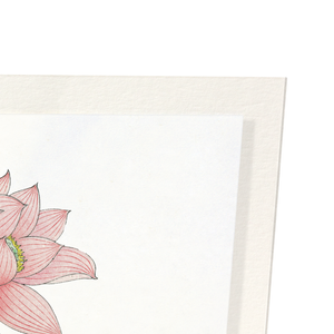 Pink lotus (Pack of 2 prints)