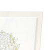 White chrysanthemum (Pack of 2 prints)