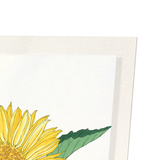 Sunflower (Pack of 2 prints)