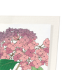 Hydrangea (Pack of 2 prints)