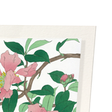 Pink camellia (Pack of 2 prints)