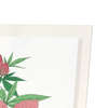 Hibiscus (Pack of 2 prints)