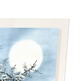 Plum blossom in blue moon (Pack of 2 prints)