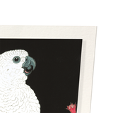 Cockatoo and pomegranate (Pack of 2 prints)