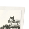 Owl on pine tree (Pack of 2 prints)