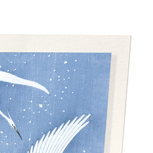 Egrets descending in snow (Pack of 2 prints)