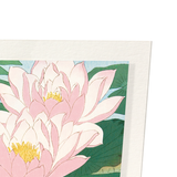 Flowering lotus (Pack of 2 prints)