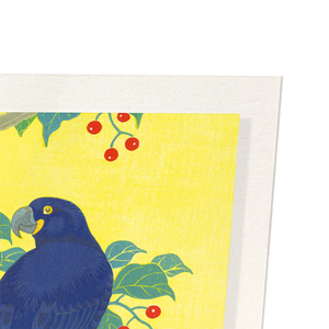 Two parrots and berries (Pack of 2 prints)