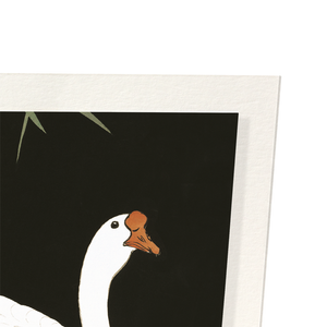 Geese by reed (Pack of 2 prints)