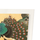 Peacock on cherry blossoms (Pack of 2 prints)