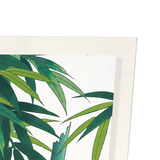 Bamboo No.3 (Pack of 2 prints)