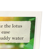 Lotus in the light (Pack of 2 prints)