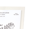 Patent of plant cultivation (1971) (Pack of 2 prints)